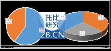 中国B2B行业发展报告 2016