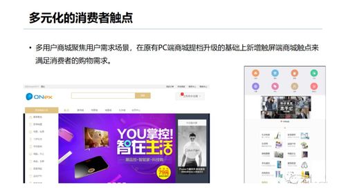 企业多用户商城 b2b2c 平台建设与运营解决方案 附ppt全文